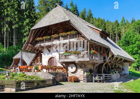 Museo dei Mulini a Tannenmühle, Grafenhausen, Foresta Nera meridionale, Baden-Württemberg, Germania Foto Stock