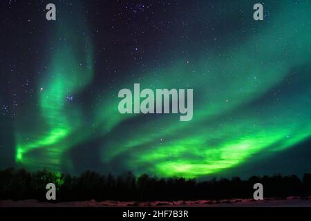 L'aurora boreale mostra vicino Kaamanen, Finlandia Foto Stock