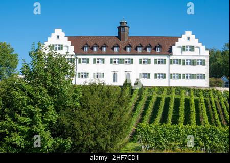 Germania, Baden-Wuerttemberg, Regione Tübingen, Bodensekreis, Lago di Costanza, Meersburg, Castello di Immenstaad, Hersberg Foto Stock