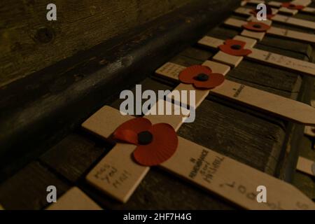 Ricordo papaveri su croci di legno per commemorare la perdita di militari nelle guerre e nei conflitti mondiali. Simbolo di rispetto, per non dimenticare, in memoria Foto Stock