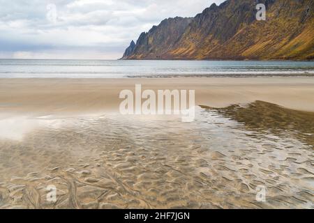 Norvegia, Senja, Skaland, Ersfjord, spiaggia, strutture di sabbia a bassa marea Foto Stock