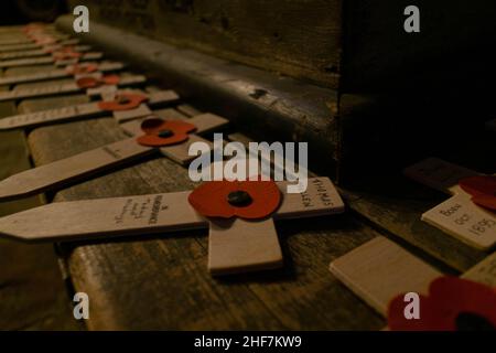 Ricordo papaveri su croci di legno per commemorare la perdita di militari nelle guerre e nei conflitti mondiali. Simbolo di rispetto, per non dimenticare, in memoria Foto Stock