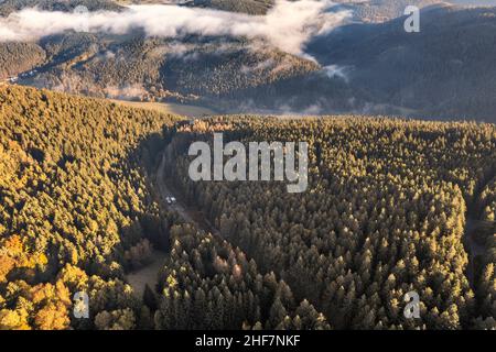 Germania, Turingia, città di Schwarzatal, Lichtenhain, ferrovia di montagna, traversata in treno in siding, paesaggio, foresta, luce del mattino, vista aerea Foto Stock