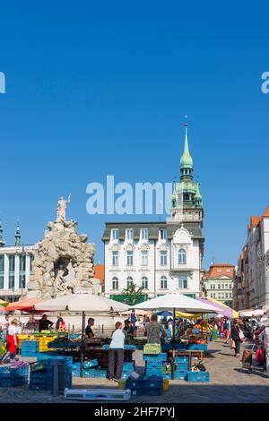 Brno (Brünn), mercato vegetale, torre del municipio, fontana Parnas a Jihomoravsky, Moravia meridionale, Südmähren, ceco Foto Stock