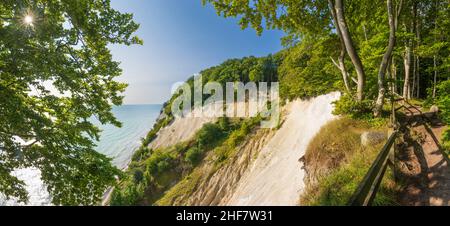 Vordingborg, strada sulla cima di Moens Klint gesso scogliere, Mar Baltico, faggi a Moens Klint, Moen, Danimarca Foto Stock