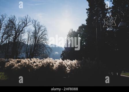 Erbe autunnali secche con spikelets di colore beige primo piano. Lo sfondo naturale. Fuoco selettivo astratto sfondo naturale Foto Stock