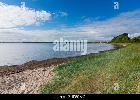 Zierow, Mar Baltico, baia Wismarbucht a Ostsee (Mar Baltico), Meclemburgo-Vorpommern, Germania Foto Stock