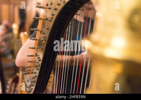 Strumenti musicali, arpa, dettaglio Foto Stock