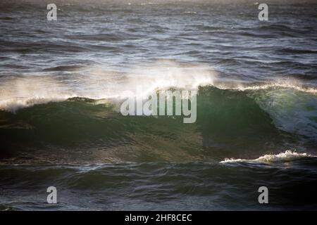 Onde con cresta a onda bianca al punto Lobos, California, con acqua trasparente verde alleggerita Foto Stock