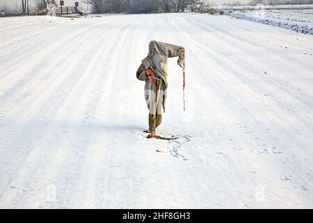 triste, raggato e gelido scarabeo in inverno sul campo da neve Foto Stock