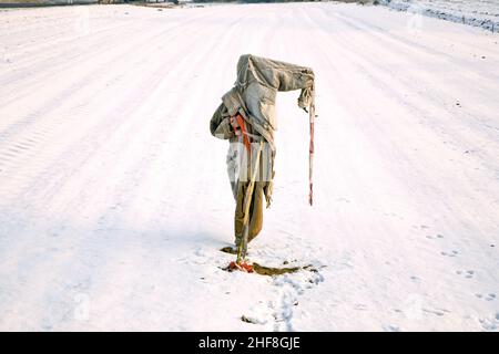 triste, raggato e gelido scarabeo in inverno sul campo da neve Foto Stock