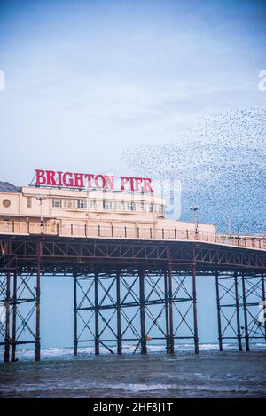 La murmurazione di Starling sul molo di Brighton all'inizio del 2021 è stata presa in una giornata trascorsa. Foto Stock