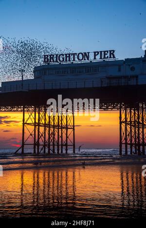 Starling Murmuration sopra il molo di Brighton su una bassa marea con uno splendido tramonto Foto Stock