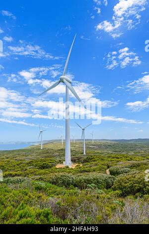 Turbine eoliche che si affacciano sull'oceano presso la Albany Wind Farm, la penisola di Torndirrup, Albany, Australia Occidentale, Australia Foto Stock