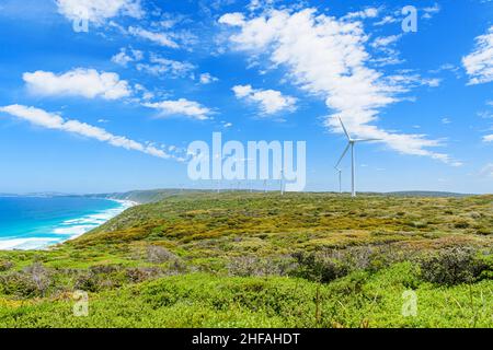 Turbine eoliche che si affacciano sull'oceano presso la Albany Wind Farm, la penisola di Torndirrup, Albany, Australia Occidentale, Australia Foto Stock