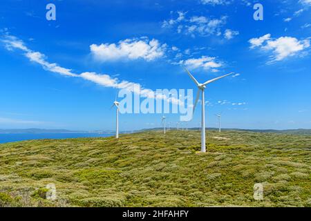 Turbine eoliche che si affacciano sull'oceano all'Albany Wind Farm sulla penisola di Torndirrup, Albany, Australia Occidentale, Australia Foto Stock