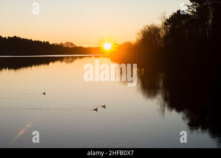 Ogden Water Reservoir and Nature Reserve a Calderdale West Yorkshire, gennaio 15th 2022. Il sole appare sull'orizzonte per una spettacolare alba invernale, che si staglia sugli uccelli sull'acqua. Credit Paul Thompson Alamy Live news Foto Stock