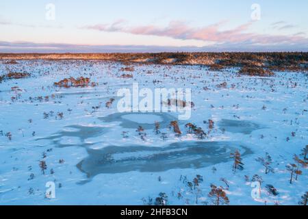 Torbiera con laghi di torbiera ghiacciati e piccoli pini durante un bellissimo tramonto con colori pastello nel Parco Nazionale Soomaa, Estonia. Foto Stock
