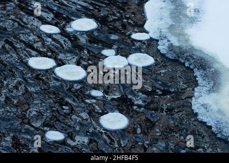 Diverse piastre di ghiaccio galleggiano nell'acqua del fiume durante una fredda giornata invernale nel Nord Europa. Foto Stock