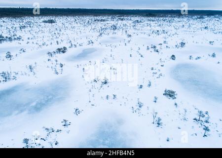 Torbiera con laghi di torbiera ghiacciati e piccoli pini in una giornata fredda nel Parco Nazionale Soomaa, Estonia. Foto Stock