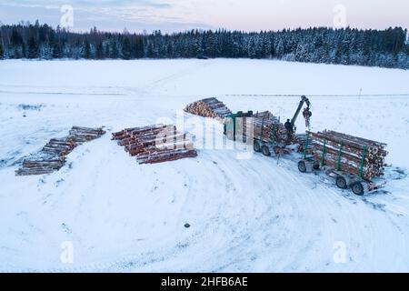 Caricamento di camion di legno vicino al palo di legname e di fronte ad una foresta in Estonia, Europa del Nord. Foto Stock