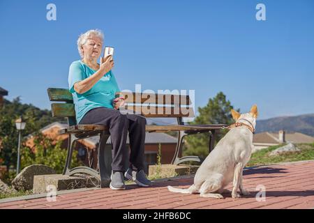 Corpo completo di anziana donna seduta su panca e utilizzando il cellulare moderno mentre tiene Podenco al guinzaglio in città Foto Stock