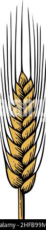 Orecchio di grano - illustrazione vettoriale vintage incisa (disegno a mano) Illustrazione Vettoriale