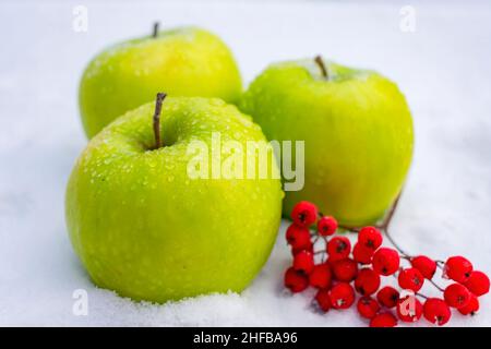 Le mele verdi si trovano sulla neve con un rametto di frutti rossi di rowan Foto Stock