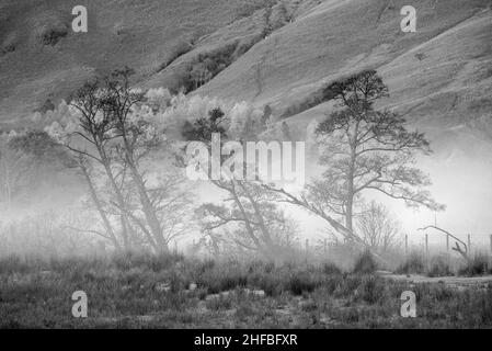 Bianco e nero splendido paesaggio autunnale immagine dell'alba guardando verso Borrowdale Valley da Derwentwater nel Lake District con nebbia che si estende attraverso la t Foto Stock