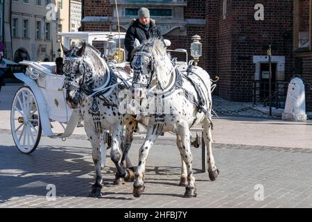 Cracovia, Polonia - 9th marzo 2020: I turisti si godono un giro a cavallo e in carrozza, un tour di un'ora intorno a Cracovia. Casa bianca e nera con l'uomo fuori Foto Stock