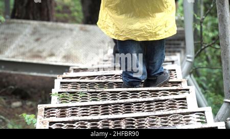 Vista dall'alto di un uomo che scende le scale di metallo nella foresta. Primo piano delle gambe del viaggiatore sul sentiero nel parco nazionale. Foto Stock