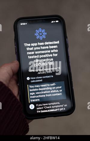 Il telefono cellulare mostra la traccia NHS e l'app traccia che indica che un contatto stretto ha coronavirus Foto Stock