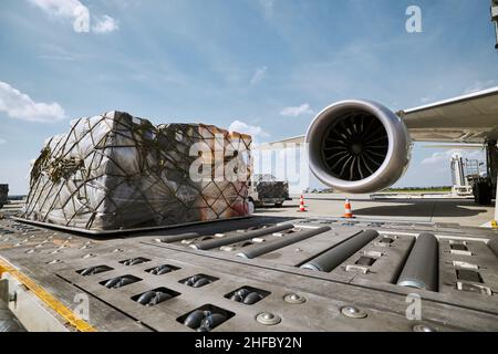 Preparazione dell'aeroplano a destra prima del volo. Carico dei contenitori di carico contro il motore a reazione dell'aereo. Foto Stock