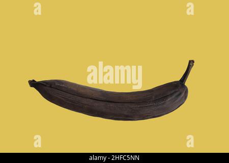 Banana nera marcio isolata su sfondo giallo Foto Stock