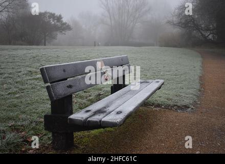 Una panca gelata in una giornata di nebbia. Foto Stock