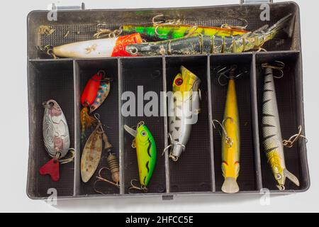 Scatola con esche da pesca per pesci predatori. Foto Stock