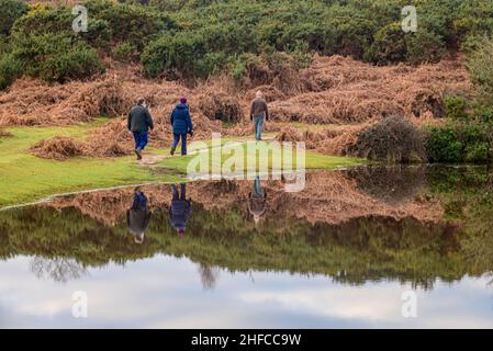 Ogdens, Frogham, Fordingbridge, New Forest, Hampshire, Regno Unito, 15th gennaio 2022: Pomeriggio calmo, freddo e grigio sotto un sistema anticiclonico. Le persone fuori a piedi si riflettono nell'acqua di un laghetto. Credit: Paul Biggins/Alamy Live News Foto Stock