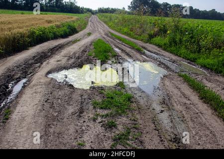 Pudle con acqua sporca su una strada di campo Foto Stock
