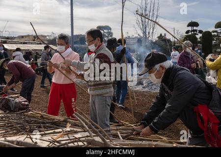 I volontari preparano legna da ardere per la tostatura di Dango (torta di riso Mochi) durante Dondo-Yaki ad Aobadai.Dondo-Yaki è un evento tradizionale che si svolge solitamente a metà gennaio ed è considerato la fine delle celebrazioni di Capodanno in Giappone. Durante questo evento Shimekazari (fascino fortunato) che sono stati utilizzati per attirare gli dei alle case della gente sono bruciati in una cerimonia Shinto chiamato Oharai. Viene eseguito per tenere la sfortuna lontano dalle persone. Dopo che il fuoco smette di salire, Dango (torta di riso mochi) o patate dolci vengono arrostite sopra il falò. L'origine di Dondo-Yaki può essere ricondotta al periodo Heian quando i nobili bruciarono b Foto Stock