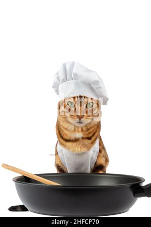 Un gatto in costume da chef e una padella in ceramica con spatola in legno. Scatto verticale con spazio di copia Foto Stock