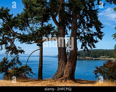 WA21111-00...WASHINGTON - si affaccia su Andrews Bay e sullo stretto di Haro dal San Juan County Park sull'isola di San Juan. Foto Stock