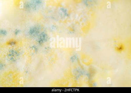 cibo ammuffito, la crescita di muffa sullo yogurt o sulla superficie del prodotto lattiero-caseario ha superato la data di scadenza. marcio superficie del cibo Foto Stock