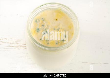lo yogurt ammuffito, la crescita di muffa sullo yogurt o sulla superficie alimentare dei prodotti lattiero-caseari ha superato la data di scadenza. marciume lo yogurt o il fondo del latte Foto Stock