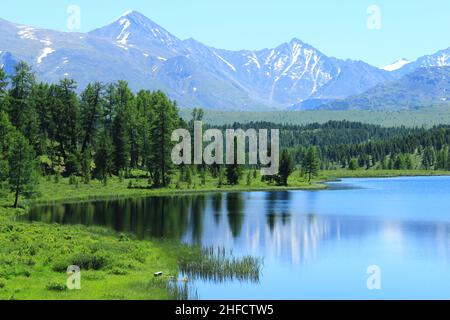 Alpine Altai lago di Kidelyu con una foresta sullo sfondo di cime innevate, estate, soleggiato Foto Stock