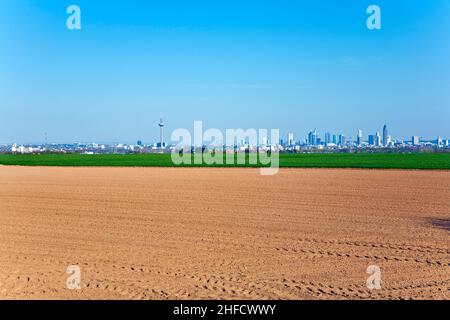 acro appena arato con fila di alberi all'orizzonte Foto Stock