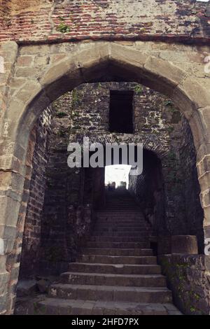 resti di kangra forte, himachal pradesh Foto Stock