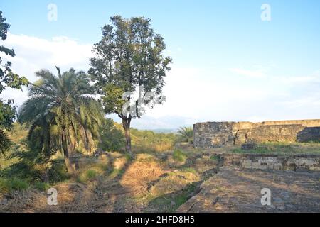 resti di kangra forte, himachal pradesh Foto Stock