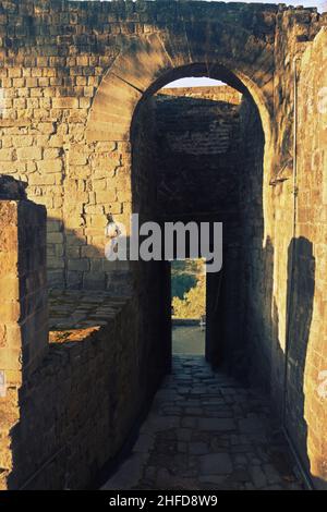 resti di kangra forte, himachal pradesh Foto Stock