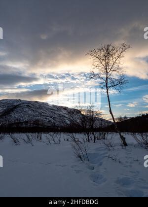 Mattisvannet è un lago vicino a Kafjord in Norvegia. Foto Stock