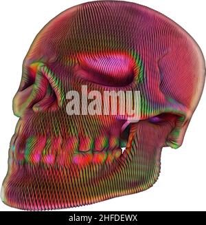 Cranio umano colorato con sfondo trasparente,3D,illustrazione Foto Stock
